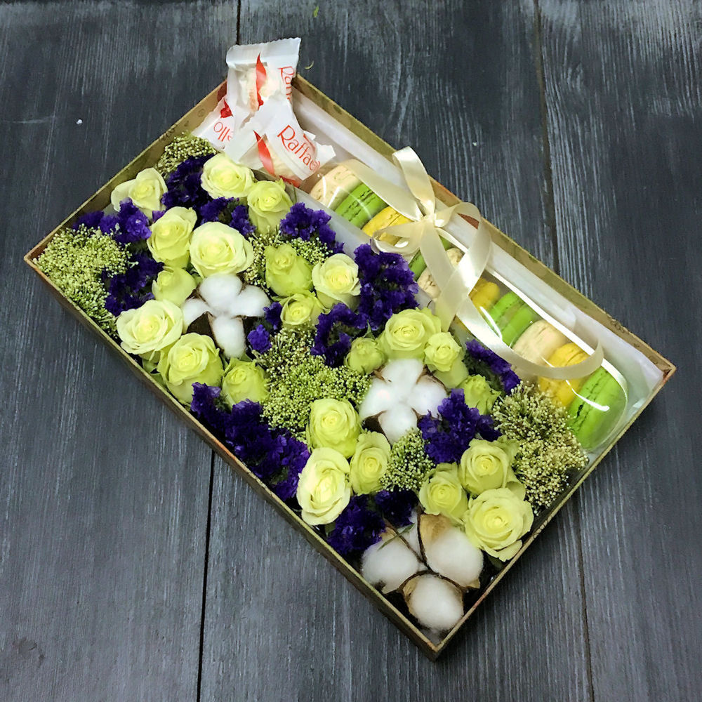 статицы статицы