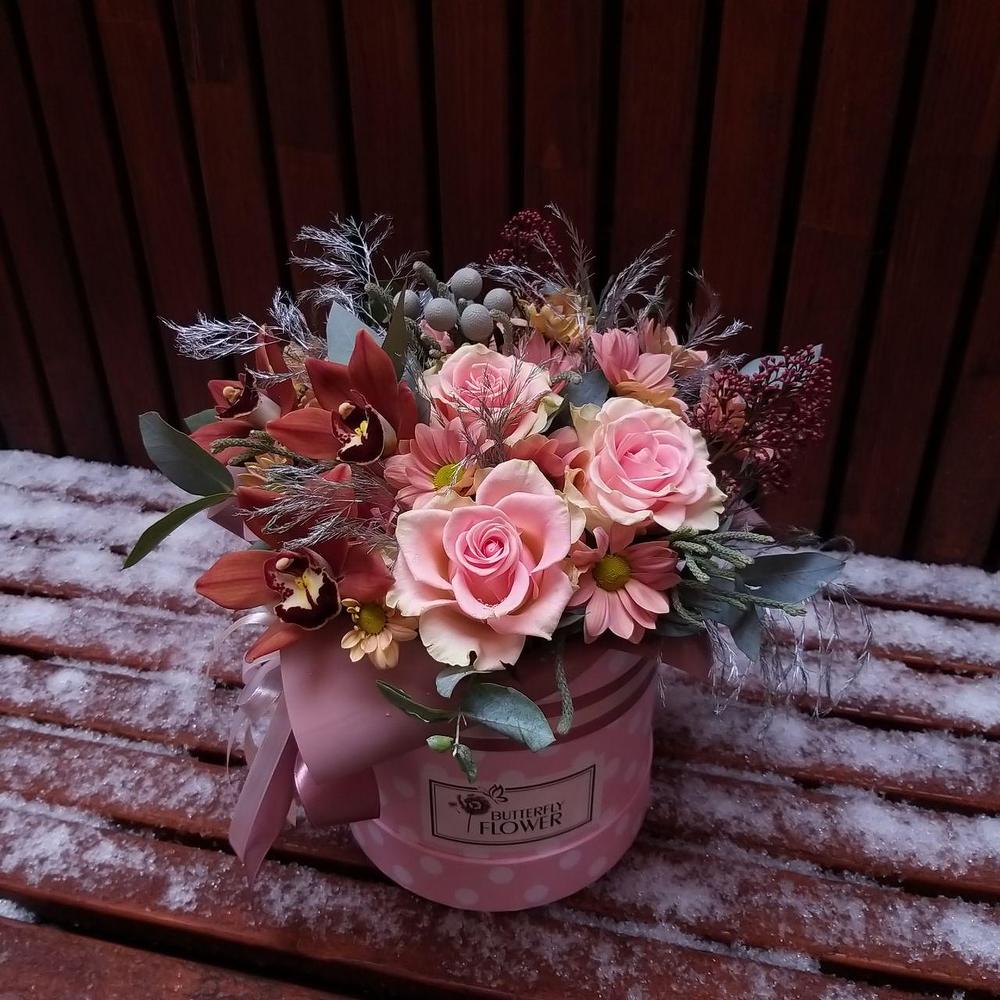 кустовой хризантемы кустовой хризантемы